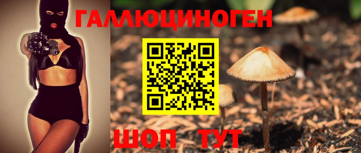 Галлюциногенные грибы MAGIC MUSHROOMS  Псилоцибиновые грибы MAGIC MUSHROOMS  Феодосия  купить наркоту  Вход с VPN 